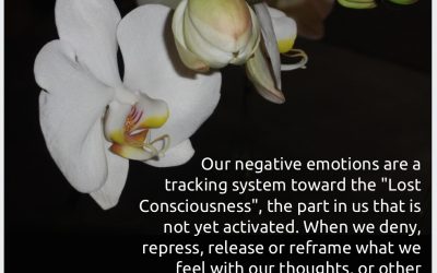 The Hidden Role of Negative Emotions
