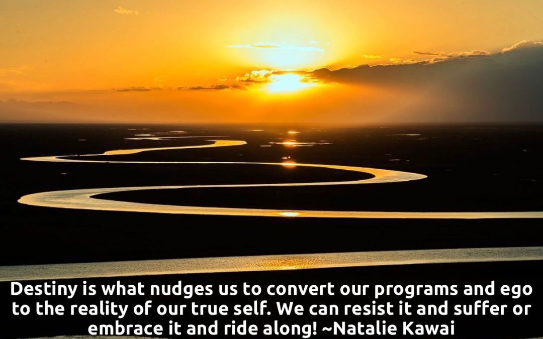 Destiny & Free Will