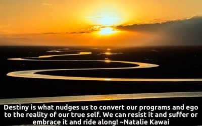 Destiny & Free Will