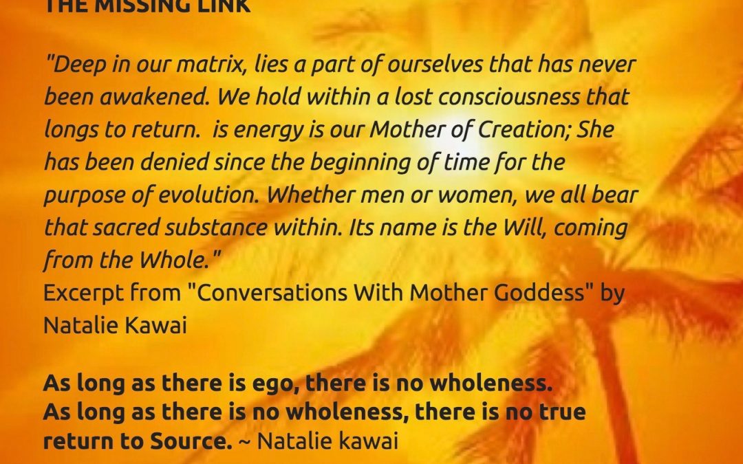 The Missing Link – What is it?