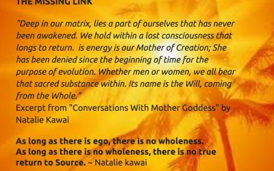 The Missing Link – What is it?