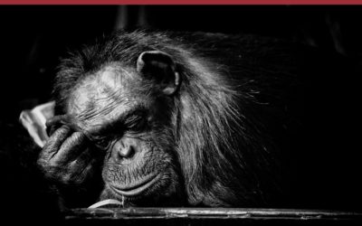 How to repurpose our ego energy