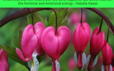 Manifesting From The Heart – The Up-Coming New Era
