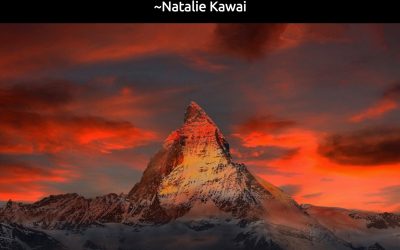 How To Return To Peace – The Last Rampart