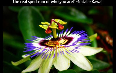 True Purpose – The Real Meaning Of Our Life